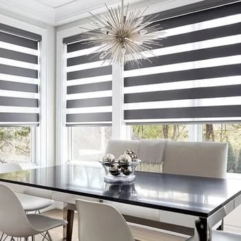 Duplex Window Blinds