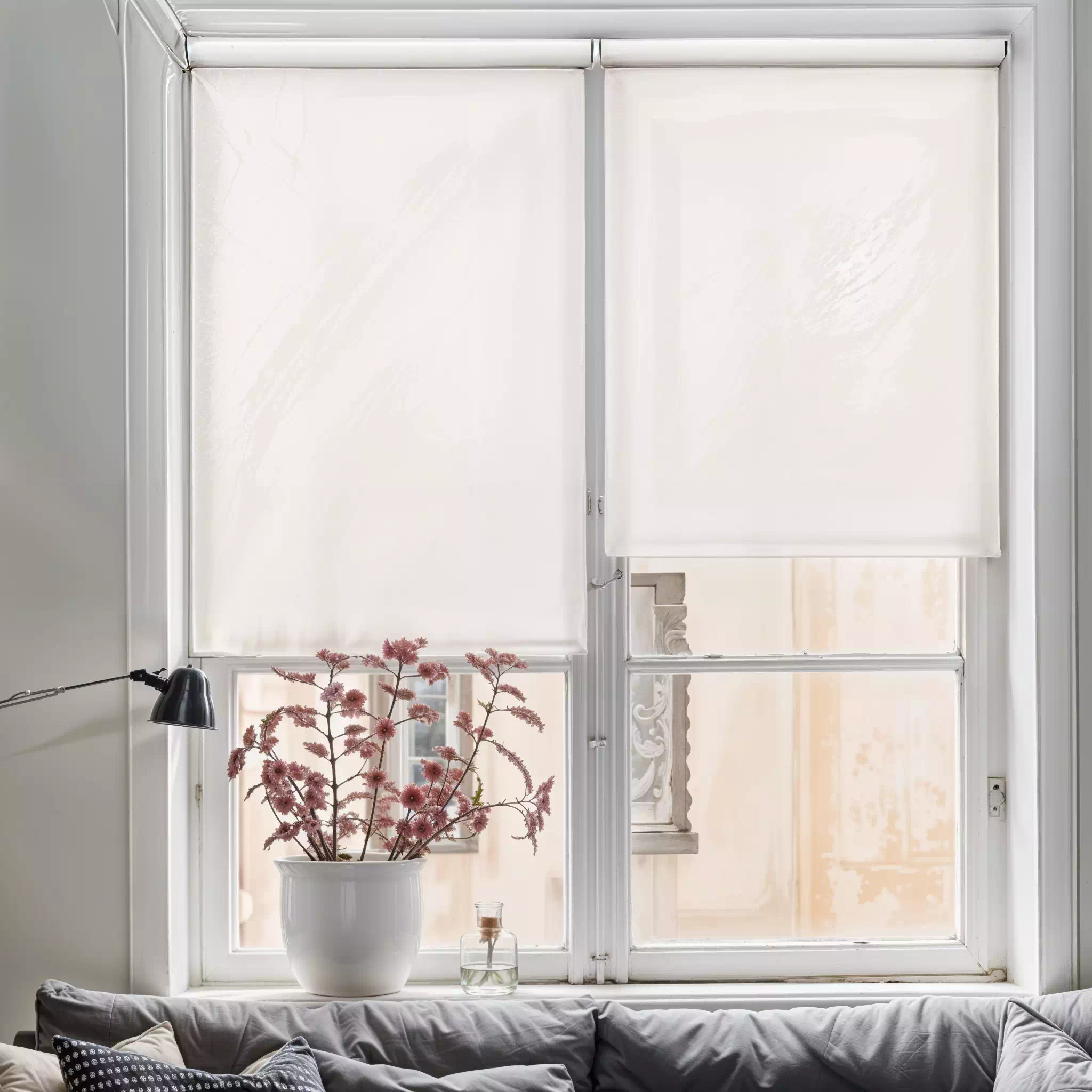 motorised sunscreen roller blinds